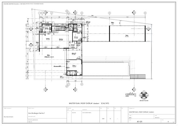 Sheet A1-01 — Master Plan / Roof Overlay